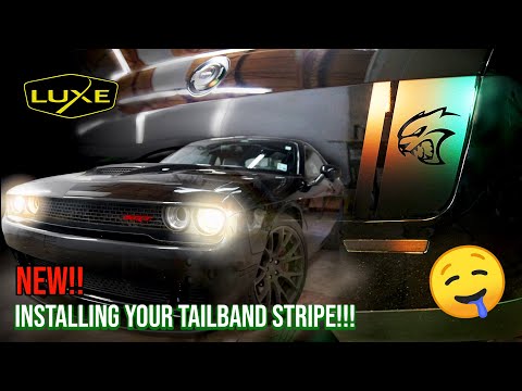 Tail Band selling Stripe Fits: 2015-2020 Dodge Challenger Graphics Decal on 3M Film